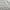 Reebok Y2K Sportswear Sweatpants & Joggers Pria gray photo 1