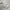 Reebok Y2K Sportswear Sweatpants & Joggers Pria gray photo 2