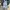 Carhartt Streetwear Y2K Hat Pria gray photo 3