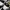 VANS Skater Casual Sneakers Pria white black photo 2