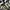 VANS Skater Casual Sneakers Pria white black photo 3