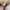 Beams Casual Suit Pria tan brown photo 8