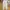 Carpenter Pants Zara beige photo 2