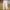 Carpenter Pants Zara beige photo 1