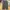 One Tuck Wide Pants GLW Olive