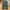 One Tuck Wide Pants GLW olive photo 1