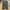 One Tuck Wide Pants GLW Olive