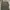 One Tuck Wide Pants GLW olive photo 3