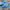 New Balance Fuel Cell V4 Blue photo 3