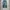 Dimitri black all season item one tuck wide baggy pants photo 1