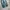 Dimitri black all season item one tuck wide baggy pants photo 5
