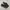 Vans Authentic Pro Skate Full Black Original photo 1