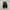 Vans Authentic Pro Skate Full Black Original photo 3