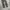 Xero & company tiger stripe camo pants photo 5
