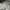 Dickies Velvet Crewneck Grey photo 8