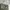 Cargo Military Ripstop Cargo Short photo 7