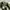 Cargo military Green army Canvas tebal photo 7
