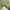 Cargo military Green army Canvas tebal photo 6