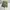 Cargo military Green army Canvas tebal photo 3