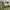 Cargo military Green army Canvas tebal photo 5