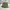 Cargo military Green army Canvas tebal photo 2