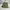 Cargo Military Green Army Canvas Tebal