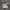 NFL Joyful Beige photo 1