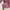 Semi Jaquard Pink Shirt photo 4