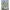 Jaket Bomber Reversibel Army photo 4
