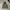 Hoodie guess grey bordir  photo 1
