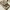 Bien Bali Pointed Heels photo 5