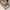 Bien Bali Pointed Heels photo 1