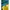 Jaket Coach Skechers Waterproof Two Tone Color photo 5
