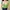 Minimalist Shirt Wanita green cream photo 2
