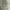 Vintage Streetwear Pria green photo 5