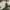 Vintage Streetwear Pria green photo 4