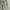 Vintage Streetwear Pria green photo 2