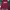 Hoodie carhart wip photo 1