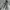 Vintage Streetwear Pria green photo 3