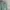 Vintage Streetwear Pria Green