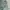 Vintage Streetwear Pria green photo 6