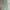 Vintage Streetwear Pria green photo 5