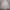 Stone Island Streetwear Casual Windbreaker Pria gray photo 1