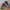 Jordan Future Dark Army Camo - Authentic  photo 1