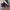 Jordan Future Dark Army Camo - Authentic  photo 4