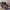 Jordan Future Dark Army Camo - Authentic  photo 2