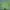 Matcha green flower crop top photo 1