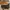 Converse Indie Casual Sneakers Wanita khaki yellow photo 6