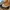 Converse Indie Casual Sneakers Wanita khaki yellow photo 1