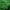 Jersey Real Betis 2018/2019 photo 8